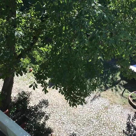 Avancers - Homelike Living 公寓 *