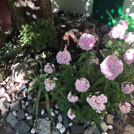 Avancers - Homelike Living 公寓 科特布斯