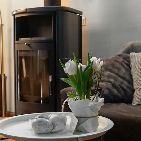 Avancers - Homelike Living 科特布斯