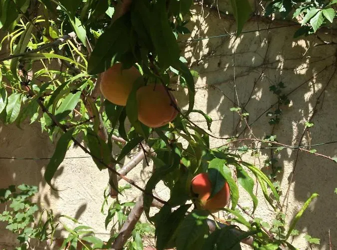 Avancers - Homelike Living *