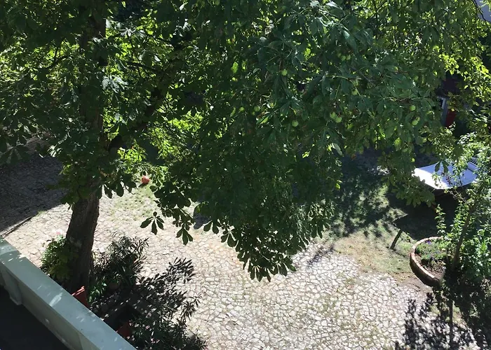 Avancers - Homelike Living شقة *