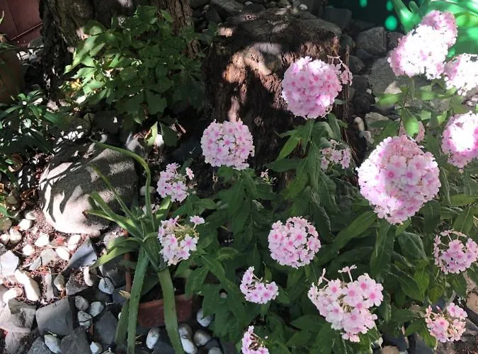 Avancers - Homelike Living شقة كوتبوس